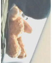 Disney | ダッフィーちゃん(その他雑貨)