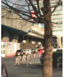 UNIQLO | ニット/セーター