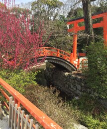 下鴨神社 | お花が綺麗でした（≧∇≦）(その他)