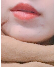 Estee Lauder | 口紅/リップティント/グロス