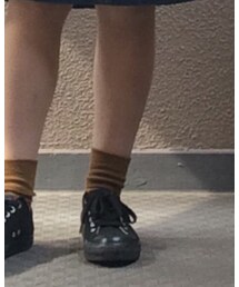 靴下屋 | ソックス/靴下