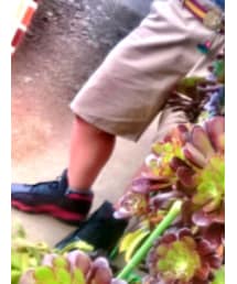 Jordan | シューズ