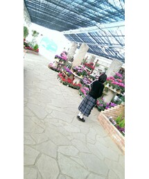 靴下屋 | ソックス/靴下