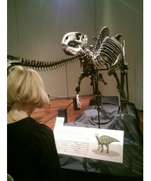 UNIQLO | ワンピース/ドレス