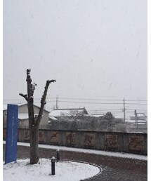 ⛄️⛄️⛄️ | ⛄️(その他)