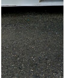 COACH | パンプス