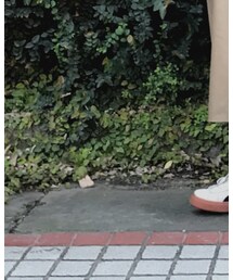 PUMA | スニーカー