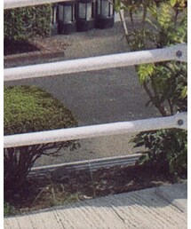 Dr. Martens | シューズ