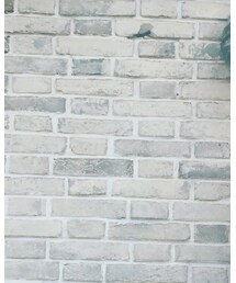 gentle monster | サングラス