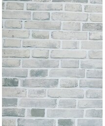 AMONG | Tシャツ/カットソー