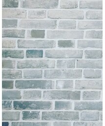 AMONG | デニムスカート