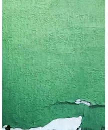 SNIDEL | スカート