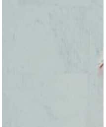 Niels Peeraer | トートバッグ