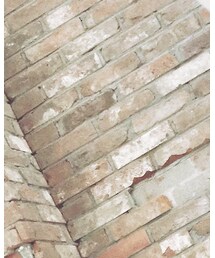 SNIDEL | その他トップス