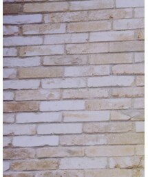 SNIDEL | パーカー