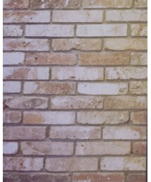 GLADNEWS | デニムスカート