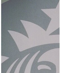 ADER error | パーカー