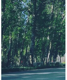 boyy | ショルダーバッグ