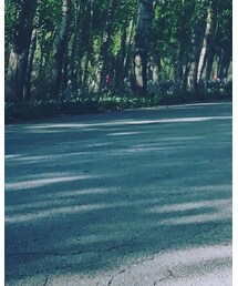 LILY BROWN | スカート