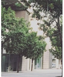 Thomas Sabo | ネックレス