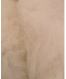 GUCCI | その他アウター