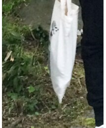 DIESEL | エコバッグ/サブバッグ