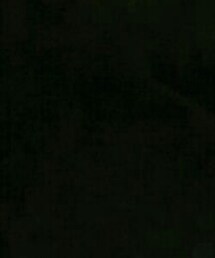 H&M | Tシャツ/カットソー