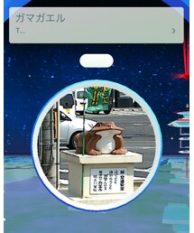 ポケスポット | その他