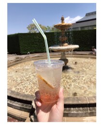 昨日のラベンダーレモネード🍋 | その他
