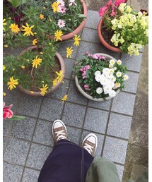 足もと＊ | その他