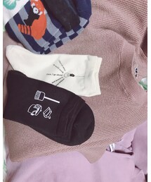 今日の収穫 | その他
