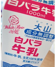 白バラ牛乳 | その他