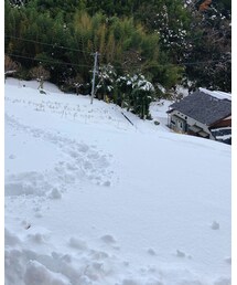 祖父の家へ❄ | その他