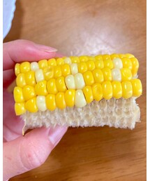 🌽 | その他