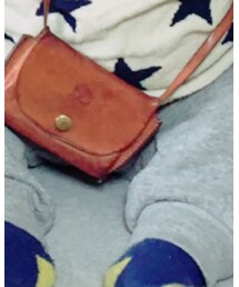 IL BISONTE | その他