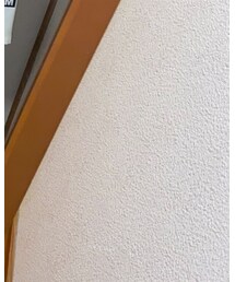 BROWNY VINTAGE | シャツ/ブラウス