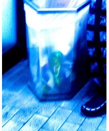 UNDEFEATED  | スニーカー