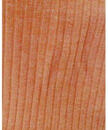 OLIVE des OLIVE | ニット/セーター