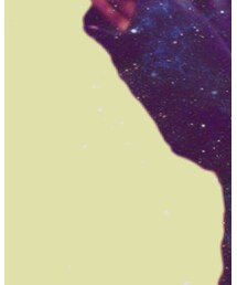 U.S.POLO | スウェット