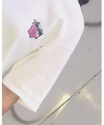 STUSSY | Tシャツ/カットソー