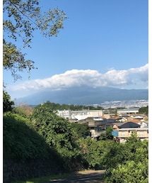 no brand | その他