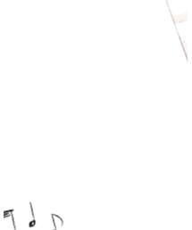 WEGO | Tシャツ/カットソー