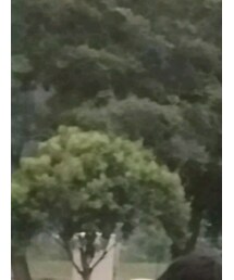 ppurecords | Tシャツ/カットソー