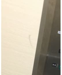 UNITED ARROWS | ニット/セーター