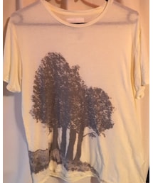 tiny dinosaur | Tシャツ/カットソー