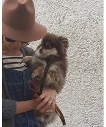 ししまる | その他