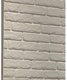 AVIREX | Tシャツ/カットソー