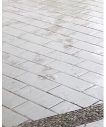 STANCE | ソックス/靴下