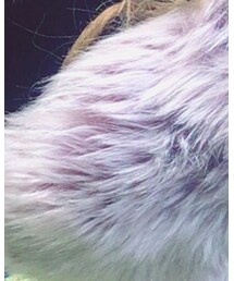 韓国ファッション #K | ダウンベスト