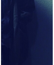 軍モノ | モッズコート